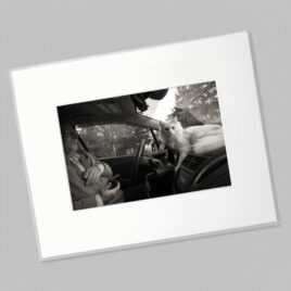 Anthony and William (Mini)